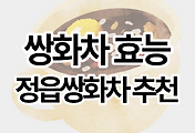 스킨이미지6