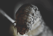 article_related_rep_thumbnail_link