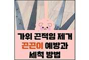 섬네일