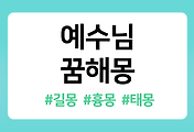 /entry/%EC%98%88%EC%88%98%EB%8B%98-%EA%BF%88%ED%95%B4%EB%AA%BD-22%EA%B0%80%EC%A7%80-%ED%92%80%EC%9D%B4?category=1086519
