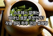 관련글이미지