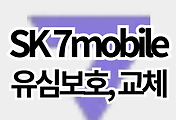 스킨이미지6