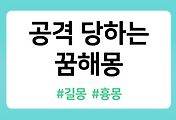 /entry/%EB%A7%9E%EB%8A%94-%EA%BF%88-%EA%B3%B5%EA%B2%A9%EB%8B%B9%ED%95%98%EB%8A%94-%EA%BF%88%ED%95%B4%EB%AA%BD-14%EA%B0%80%EC%A7%80-%ED%92%80%EC%9D%B4?category=1086519