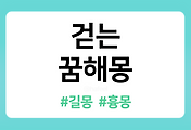 /entry/%EA%B1%B7%EB%8A%94-%EA%BF%88%ED%95%B4%EB%AA%BD-10%EA%B0%80%EC%A7%80-%ED%92%80%EC%9D%B4?category=1086519