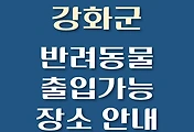 썸네일-강화군 강아지 출입 가능 식당, 카페, 펜션, 반려동물 애견 동반 관람, 체험, 여행지 안내