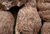 article_related_rep_thumbnail_link