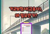 썸네일-가교보험사, 왜 필요한가? MG손해보험 위기 속 생존 전략