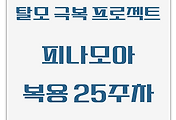 탈모 극복 프로젝트 | 피나모아 복용 25주차 관찰 후기 (두피사진 포함)