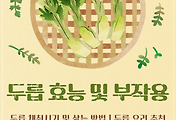 두릅 효능 및 부작용 | 두릅 채취시기 및 삶는 방법 | 두릅 요리 추천 썸네일