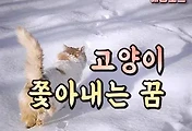 article_rep_thumbnail