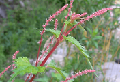 article_related_rep_thumbnail_link