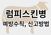 스킨이미지6