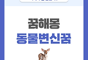 [꿈해몽] 동물로 변하는 꿈 의미와 해석 썸네일