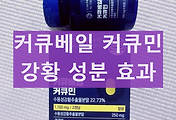 커큐베일 커큐민 제품 성분과 효능 섭취시 부작용 수용성 커큐베일 후기 썸네일