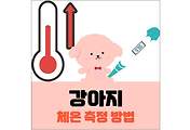 섬네일