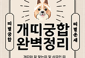 개띠 궁합 완벽 정리 | 개띠와 잘맞는 띠 vs 안맞는 띠 썸네일