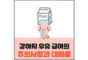 섬네일