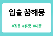 /entry/%EC%9E%85-%EC%9E%85%EC%88%A0-%EA%BF%88%ED%95%B4%EB%AA%BD-19%EA%B0%80%EC%A7%80-%ED%92%80%EC%9D%B4?category=1086519