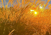 thumbnail_5