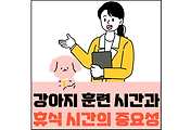 섬네일