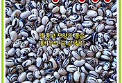 제비호랑이강낭콩(넝쿨) 씨앗종자: 맛과 모양이 아름다운 강낭콩