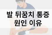 artticle-related-rep-link1