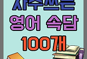 스킨이미지