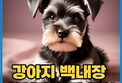 thumbnail6