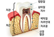 article_related_rep_thumbnail_link176x120