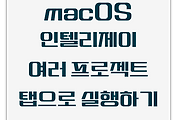 IntelliJ | 맥에서 인텔리제이 여러 프로젝트 탭으로 실행하는 방법