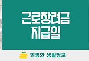 thumbnail6