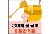 섬네일