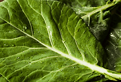 article_related_rep_thumbnail_link