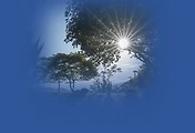 썸네일-직장인 햇살론 2천만원 - 자격조건, 대출한도/금리 조회, 신청방법