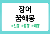 /entry/%EC%9E%A5%EC%96%B4-%EA%BF%88%ED%95%B4%EB%AA%BD-14%EA%B0%80%EC%A7%80-%ED%92%80%EC%9D%B4-%E2%80%93-%EC%9E%A5%EC%96%B4-%EC%9E%A1%EB%8A%94-%EA%BF%88%EC%9D%98-%EC%9D%98%EB%AF%B8%EB%8A%94?category=1086519