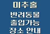 썸네일-미추홀구 반려동물 애견 출입 가능 식당, 카페, 펜션, 강아지 동반 관람, 체험, 여행지 안내