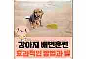 섬네일