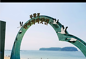 관련글썸네일