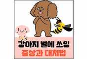 섬네일