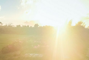 cover_item_thumbnail6