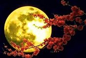 dreamaker