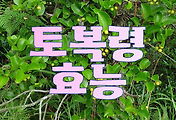 article_related_rep_thumbnail_link