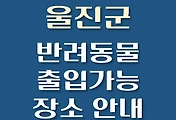 썸네일-울진군 반려동물 출입 가능 식당, 카페, 펜션, 강아지 동반 관람, 체험, 여행지 안내