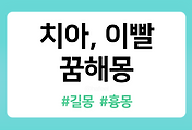 /entry/%EC%B9%98%EC%95%84-%EC%9D%B4%EB%B9%A8-%EA%BF%88%ED%95%B4%EB%AA%BD-24%EA%B0%80%EC%A7%80-%ED%92%80%EC%9D%B4?category=1086519