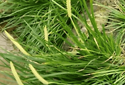 article_related_rep_thumbnail_link