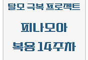 탈모 극복 프로젝트 | 내돈내산 | 피나모아 복용 14주차 관찰 후기 (두피사진 포함)