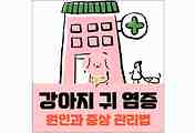 섬네일
