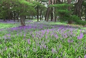 오빠야5