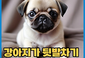 thumbnail6