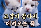 article_rep_thumbnail